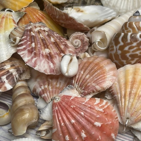 15 REAL SEASHELLS CHARMS PENDANTS w 15 JUMP RINGS FOR CRAFTING & JEWELRY MAKING - Picture 9 of 13